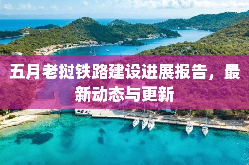 五月老撾鐵路建設進展報告，最新動態(tài)與更新