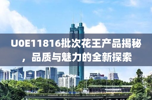 U0E11816批次花王產(chǎn)品揭秘，品質(zhì)與魅力的全新探索