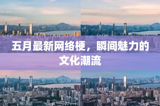 五月最新網(wǎng)絡(luò)梗，瞬間魅力的文化潮流