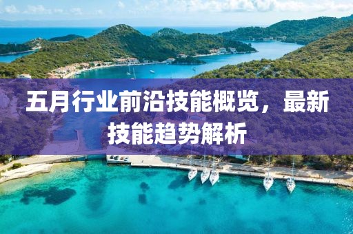 五月行業(yè)前沿技能概覽，最新技能趨勢(shì)解析