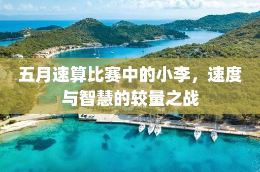 五月速算比賽中的小李，速度與智慧的較量之戰(zhàn)