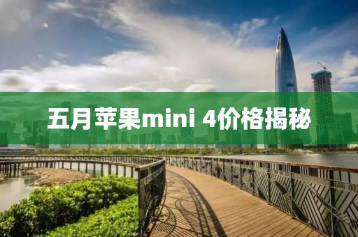 五月蘋果mini 4價格揭秘