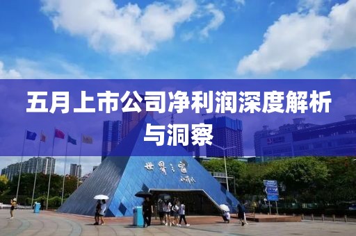 五月上市公司凈利潤深度解析與洞察