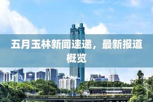 五月玉林新聞速遞，最新報道概覽