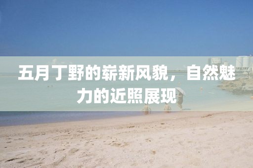 五月丁野的嶄新風貌，自然魅力的近照展現(xiàn)