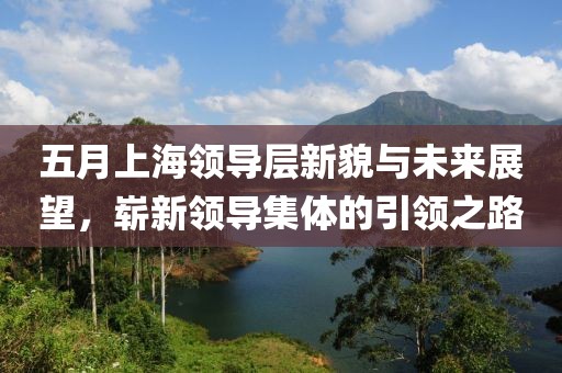 五月上海領(lǐng)導層新貌與未來展望，嶄新領(lǐng)導集體的引領(lǐng)之路