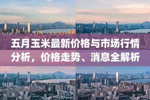 五月玉米最新價格與市場行情分析，價格走勢、消息全解析