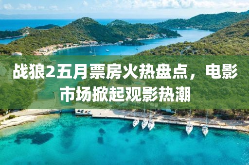 戰(zhàn)狼2五月票房火熱盤點，電影市場掀起觀影熱潮