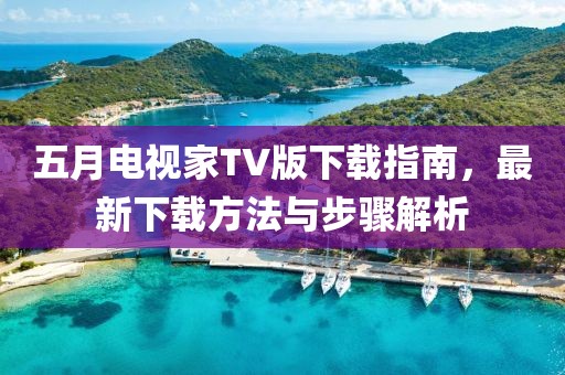 五月電視家TV版下載指南，最新下載方法與步驟解析