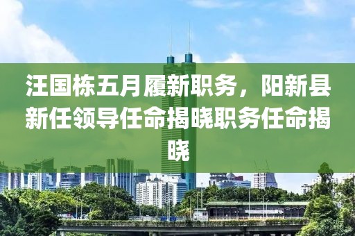 汪國棟五月履新職務，陽新縣新任領導任命揭曉職務任命揭曉
