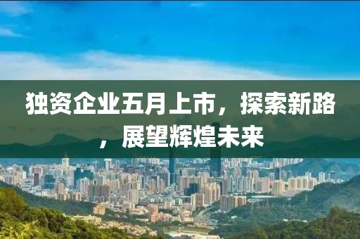 獨(dú)資企業(yè)五月上市，探索新路，展望輝煌未來