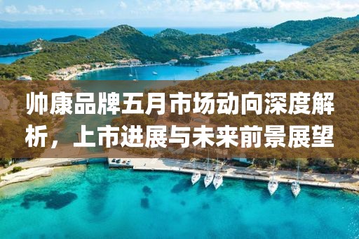 帥康品牌五月市場(chǎng)動(dòng)向深度解析，上市進(jìn)展與未來(lái)前景展望