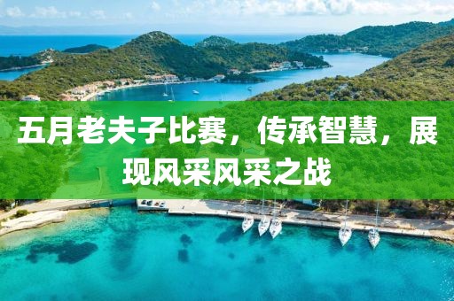 五月老夫子比賽，傳承智慧，展現(xiàn)風采風采之戰(zhàn)