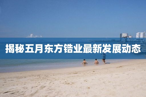 揭秘五月東方鋯業(yè)最新發(fā)展動態(tài)