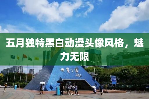 五月獨特黑白動漫頭像風(fēng)格，魅力無限