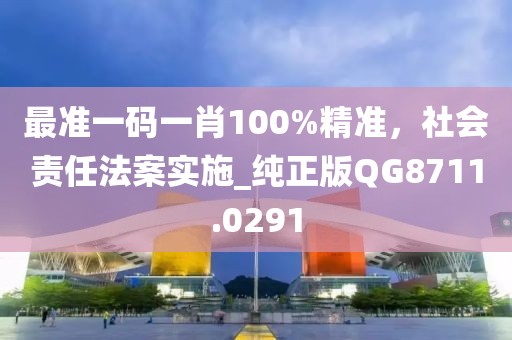 最準一碼一肖100%精準，社會責任法案實施_純正版QG8711.0291
