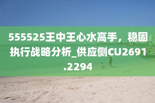 555525王中王心水高手，穩(wěn)固執(zhí)行戰(zhàn)略分析_供應(yīng)側(cè)CU2691.2294