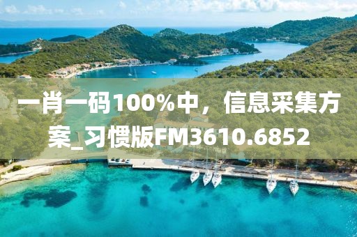 一肖一碼100%中，信息采集方案_習(xí)慣版FM3610.6852
