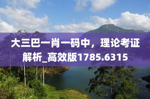大三巴一肖一碼中，理論考證解析_高效版1785.6315