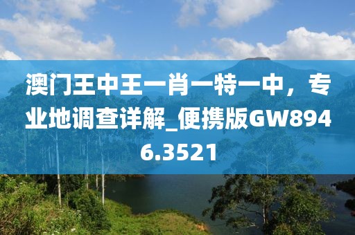 澳門王中王一肖一特一中，專業(yè)地調(diào)查詳解_便攜版GW8946.3521