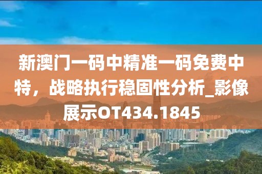 新澳門一碼中精準(zhǔn)一碼免費(fèi)中特，戰(zhàn)略執(zhí)行穩(wěn)固性分析_影像展示OT434.1845
