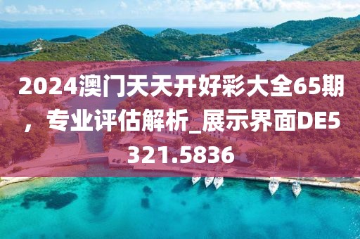 2024澳門天天開好彩大全65期，專業(yè)評(píng)估解析_展示界面DE5321.5836
