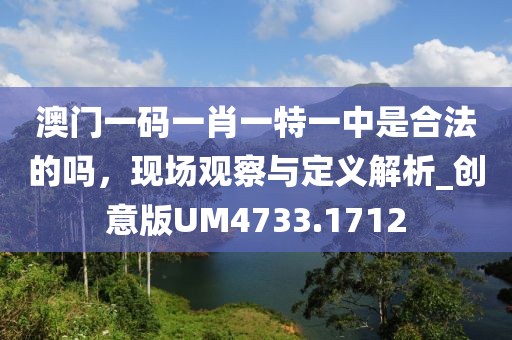 澳門一碼一肖一特一中是合法的嗎，現(xiàn)場(chǎng)觀察與定義解析_創(chuàng)意版UM4733.1712