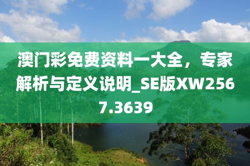 澳門彩免費資料一大全，專家解析與定義說明_SE版XW2567.3639
