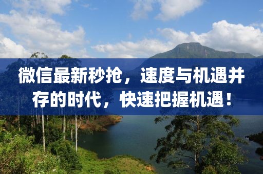 微信最新秒搶，速度與機(jī)遇并存的時(shí)代，快速把握機(jī)遇！