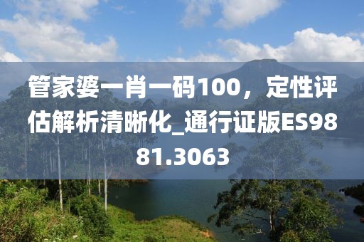 管家婆一肖一碼100，定性評估解析清晰化_通行證版ES9881.3063