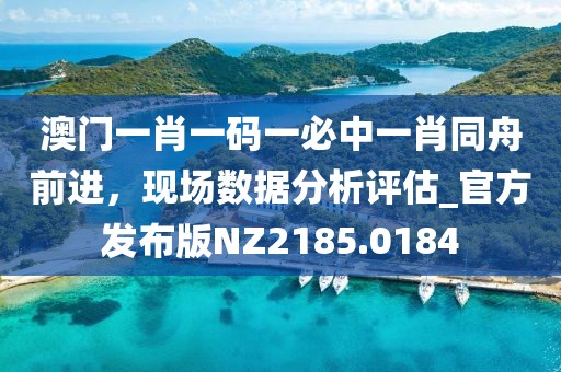 澳門一肖一碼一必中一肖同舟前進，現(xiàn)場數(shù)據(jù)分析評估_官方發(fā)布版NZ2185.0184