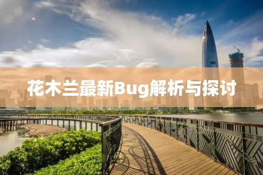 花木蘭最新Bug解析與探討