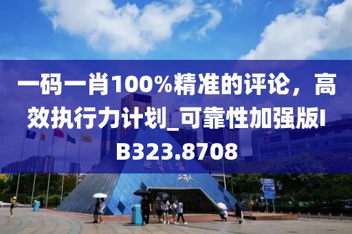 一碼一肖100%精準的評論，高效執(zhí)行力計劃_可靠性加強版IB323.8708