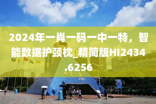 2024年一肖一碼一中一特，智能數(shù)據(jù)護頸枕_精簡版HI2434.6256