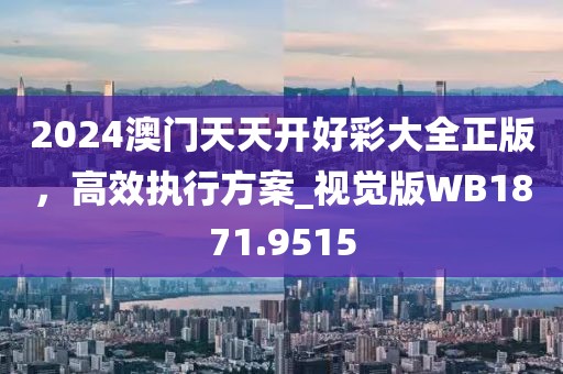 2024澳門天天開(kāi)好彩大全正版，高效執(zhí)行方案_視覺(jué)版WB1871.9515