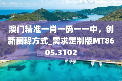 澳門(mén)精準(zhǔn)一肖一碼一一中，創(chuàng)新闡釋方式_需求定制版MT8605.3102