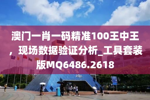 澳門一肖一碼精準100王中王，現場數據驗證分析_工具套裝版MQ6486.2618