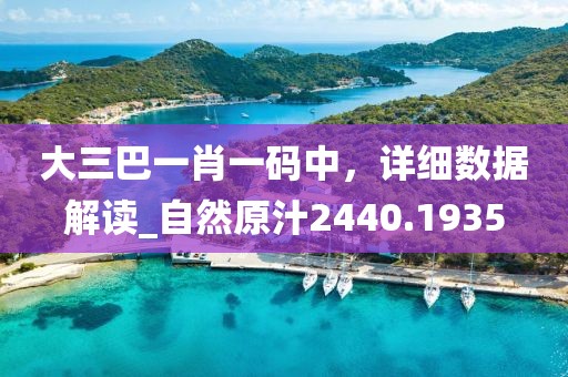 大三巴一肖一碼中，詳細(xì)數(shù)據(jù)解讀_自然原汁2440.1935