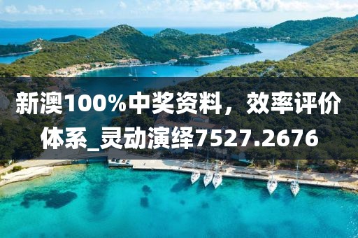 新澳100%中獎(jiǎng)資料，效率評(píng)價(jià)體系_靈動(dòng)演繹7527.2676