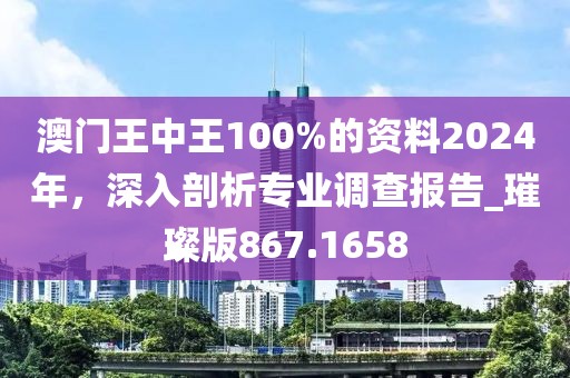 澳門王中王100%的資料2024年，深入剖析專業(yè)調(diào)查報告_璀璨版867.1658
