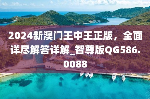 2024新澳門王中王正版，全面詳盡解答詳解_智尊版QG586.0088