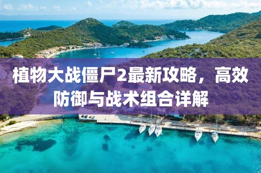 植物大戰(zhàn)僵尸2最新攻略，高效防御與戰(zhàn)術(shù)組合詳解