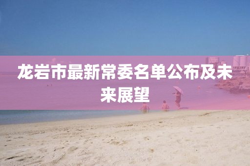 龍巖市最新常委名單公布及未來展望