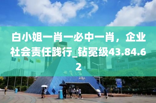 白小姐一肖一必中一肖，企業(yè)社會責任踐行_鉆冕級43.84.62