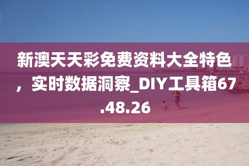 新澳天天彩免費資料大全特色，實時數據洞察_DIY工具箱67.48.26