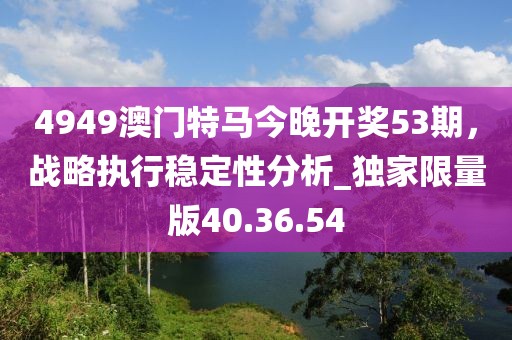 4949澳門特馬今晚開獎53期，戰(zhàn)略執(zhí)行穩(wěn)定性分析_獨家限量版40.36.54