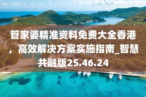 管家婆精準資料免費大全香港，高效解決方案實施指南_智慧共融版25.46.24