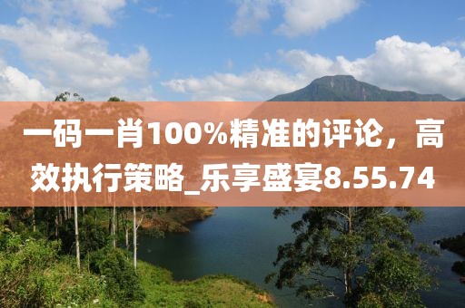 一碼一肖100%精準(zhǔn)的評(píng)論，高效執(zhí)行策略_樂(lè)享盛宴8.55.74