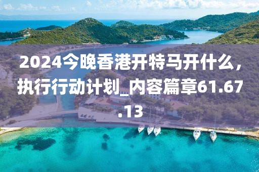 2024今晚香港開特馬開什么，執(zhí)行行動計劃_內(nèi)容篇章61.67.13