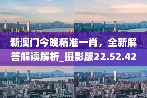 新澳門(mén)今晚精準(zhǔn)一肖，全新解答解讀解析_攝影版22.52.42